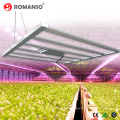 600W 1000W 2000W Led 10 Bars Grow Light Board